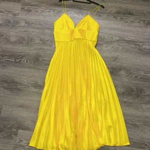 Amur Pleated Midi Tank DRESSES NWT 12