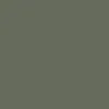 Columbia Women Green Omni-Wick Silver Ridge Pull On Shorts