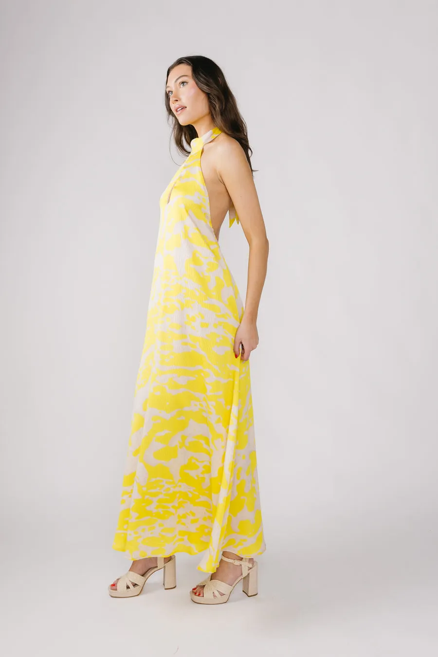 Such Great Heights Dress